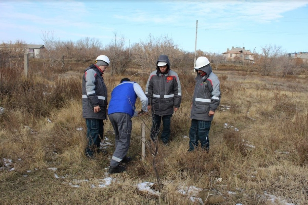 Фото: Нархоз