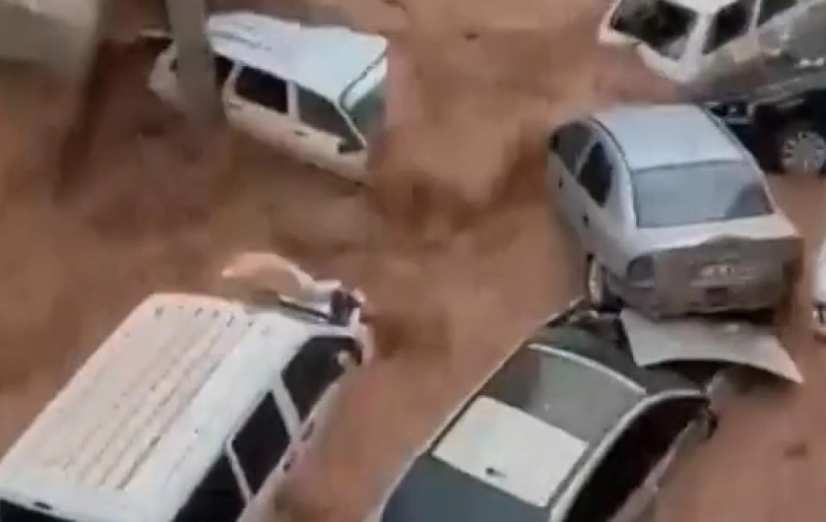 Фото: Кадр видео