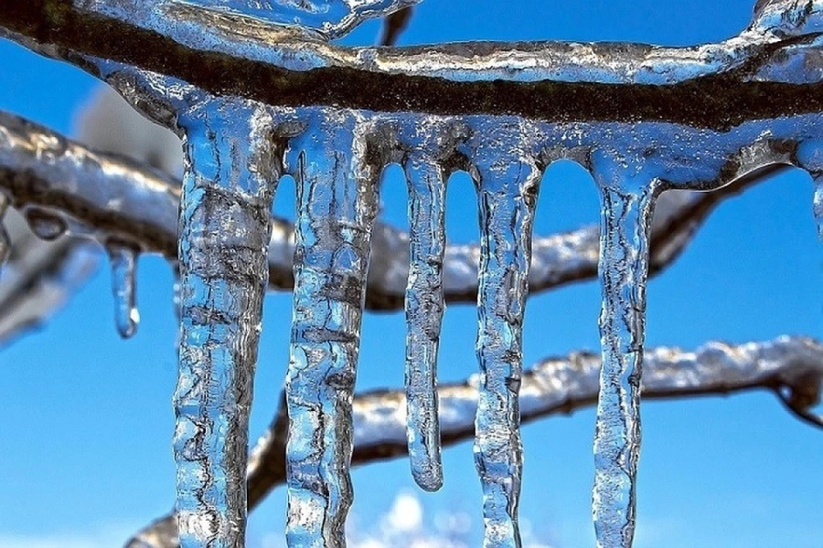 Фото: pixabay.com