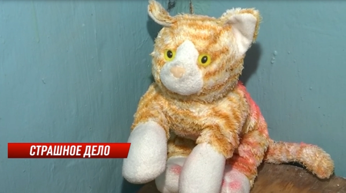 Кадр из видео/ КТК