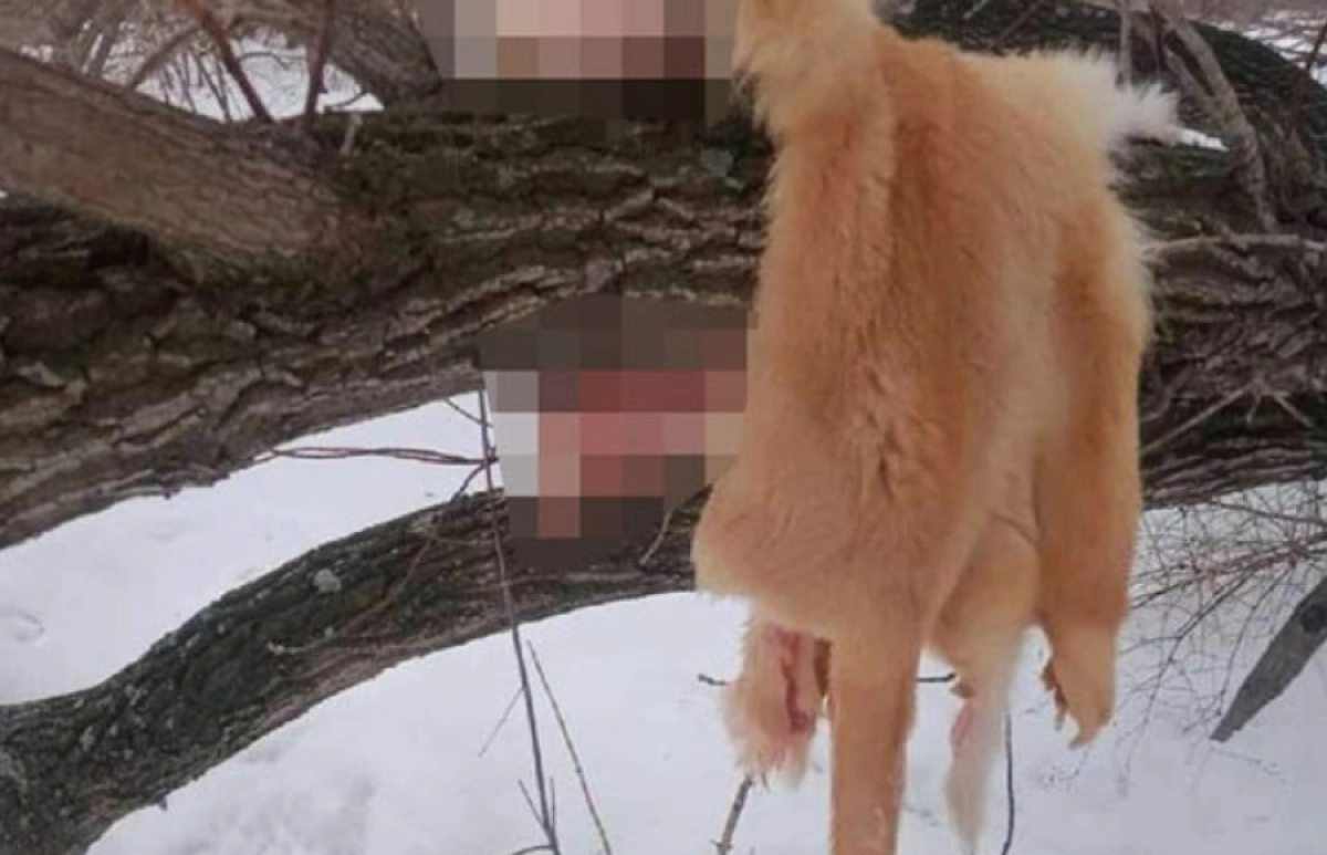 Фото: ИА «Город».