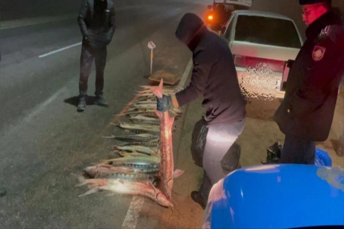 Фото: t.me/POLICE_of_KZ