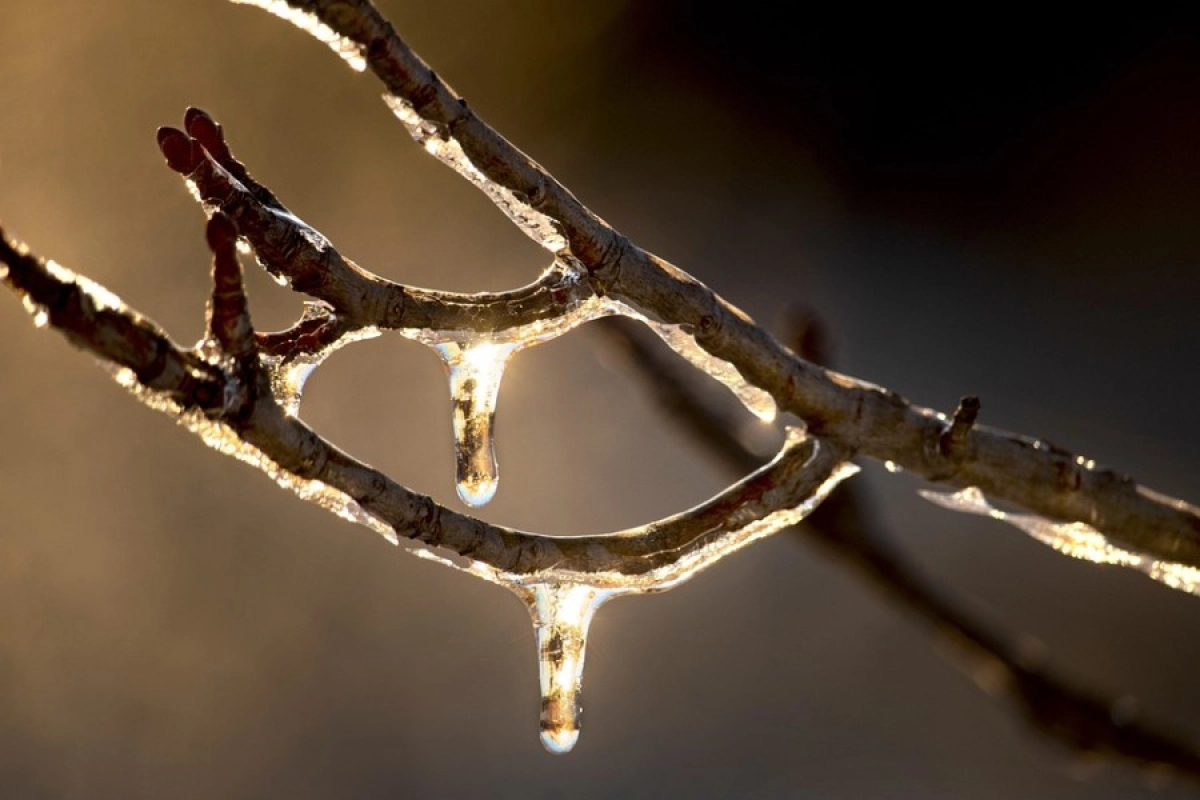 Фото: pixabay.com