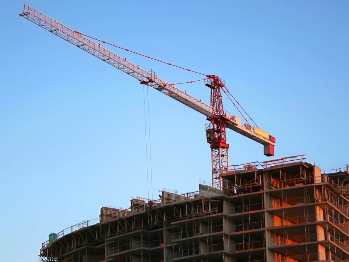 Фото: pexels.com