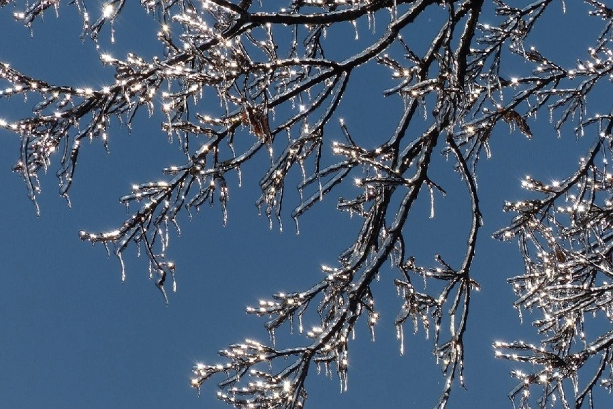 Фото: pixabay.com