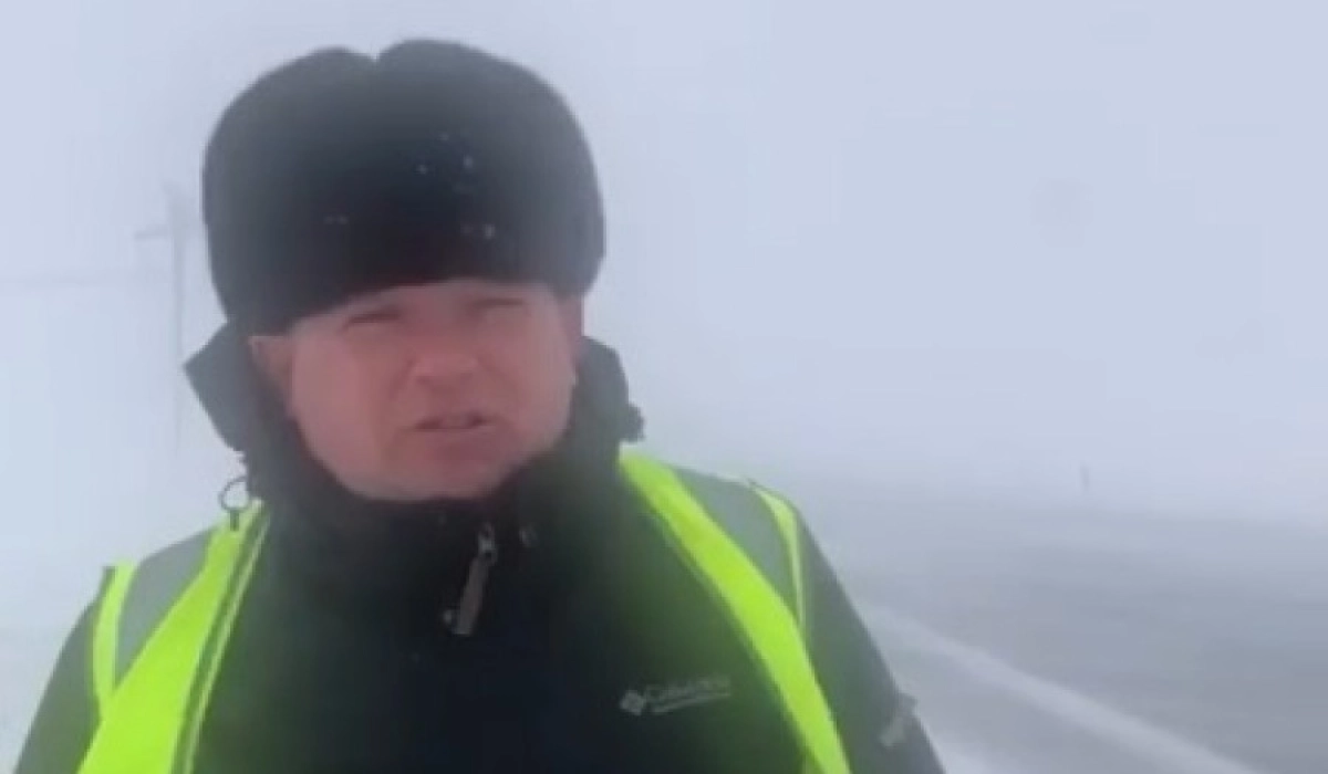 Фото: Кадр видео