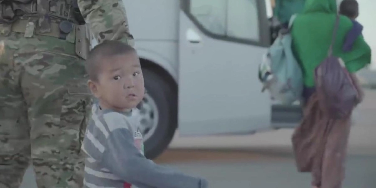 Фото: Кадр видео