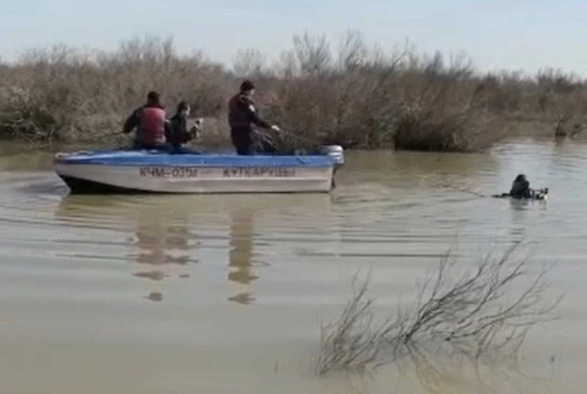 Фото: Кадр видео