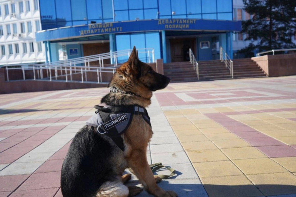 Фото: Polisia.kz