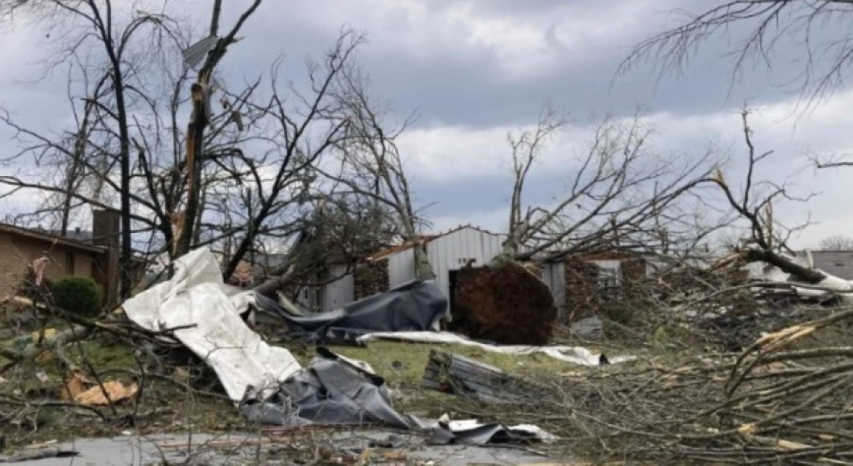 Фото: Andrew DeMillo