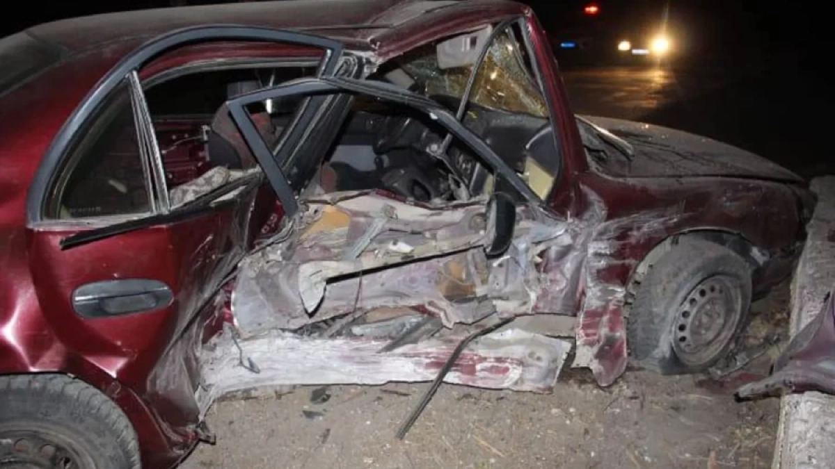 Фото:  Пресс-служба ДП Жетысуской области