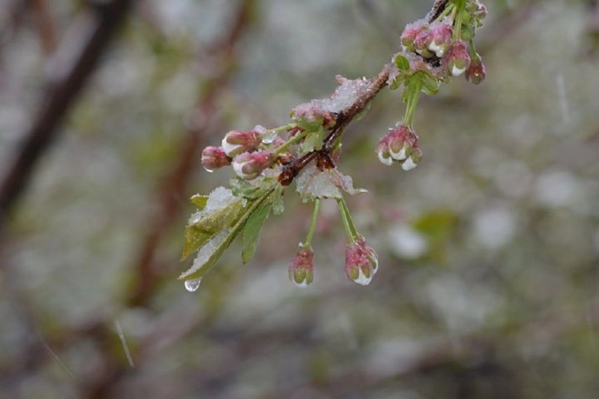 Фото: pixabay.com