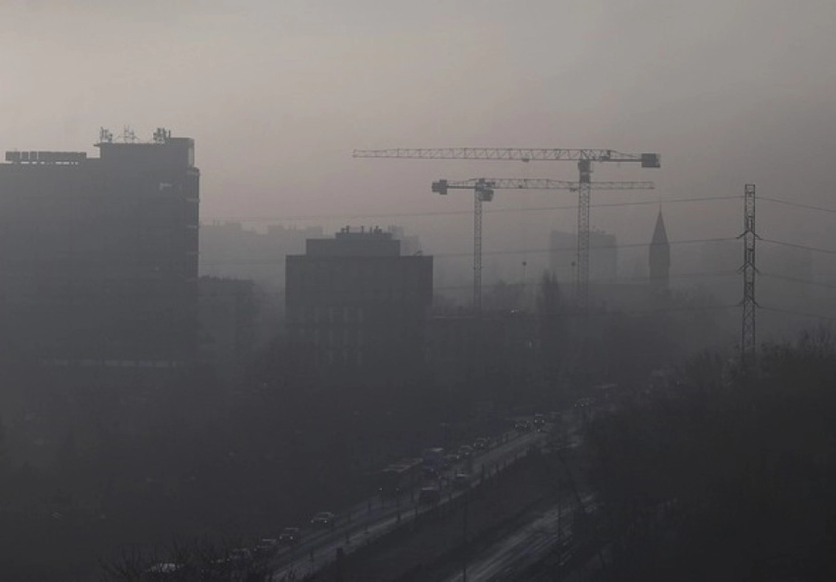 Фото: pixabay.com