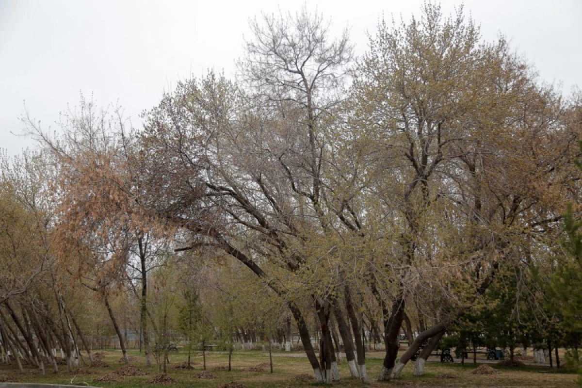 Фото:  «ИА New Times»