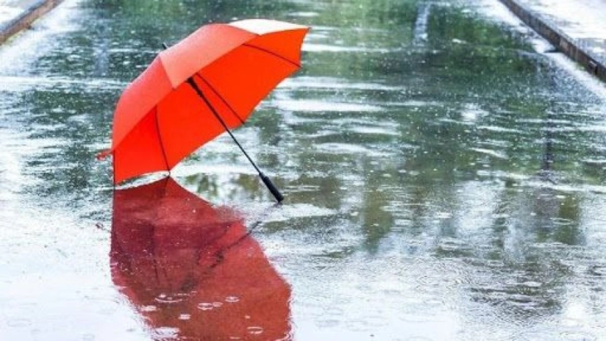 Фото: Pixabay.com