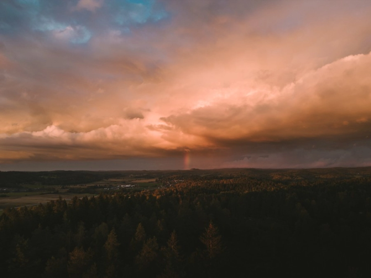 Фото: unsplash.com