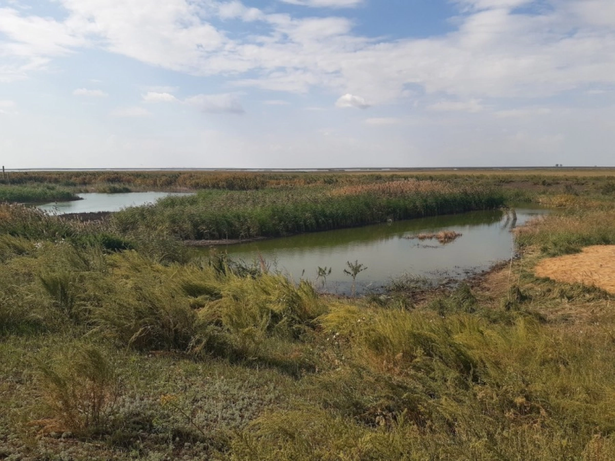 Фото: Костанайские новости