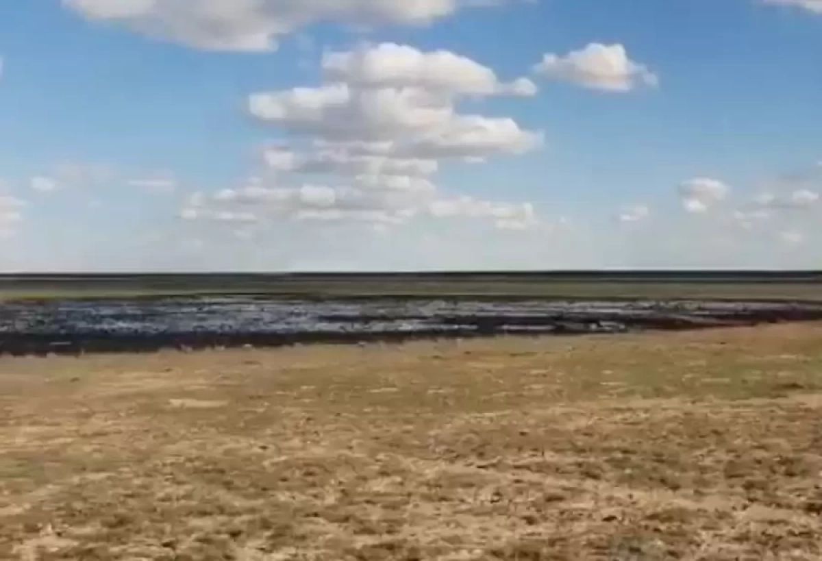 Фото: facebook.com/lunara.maksutova