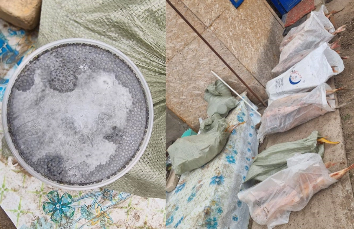 Фото: Polisia.kz