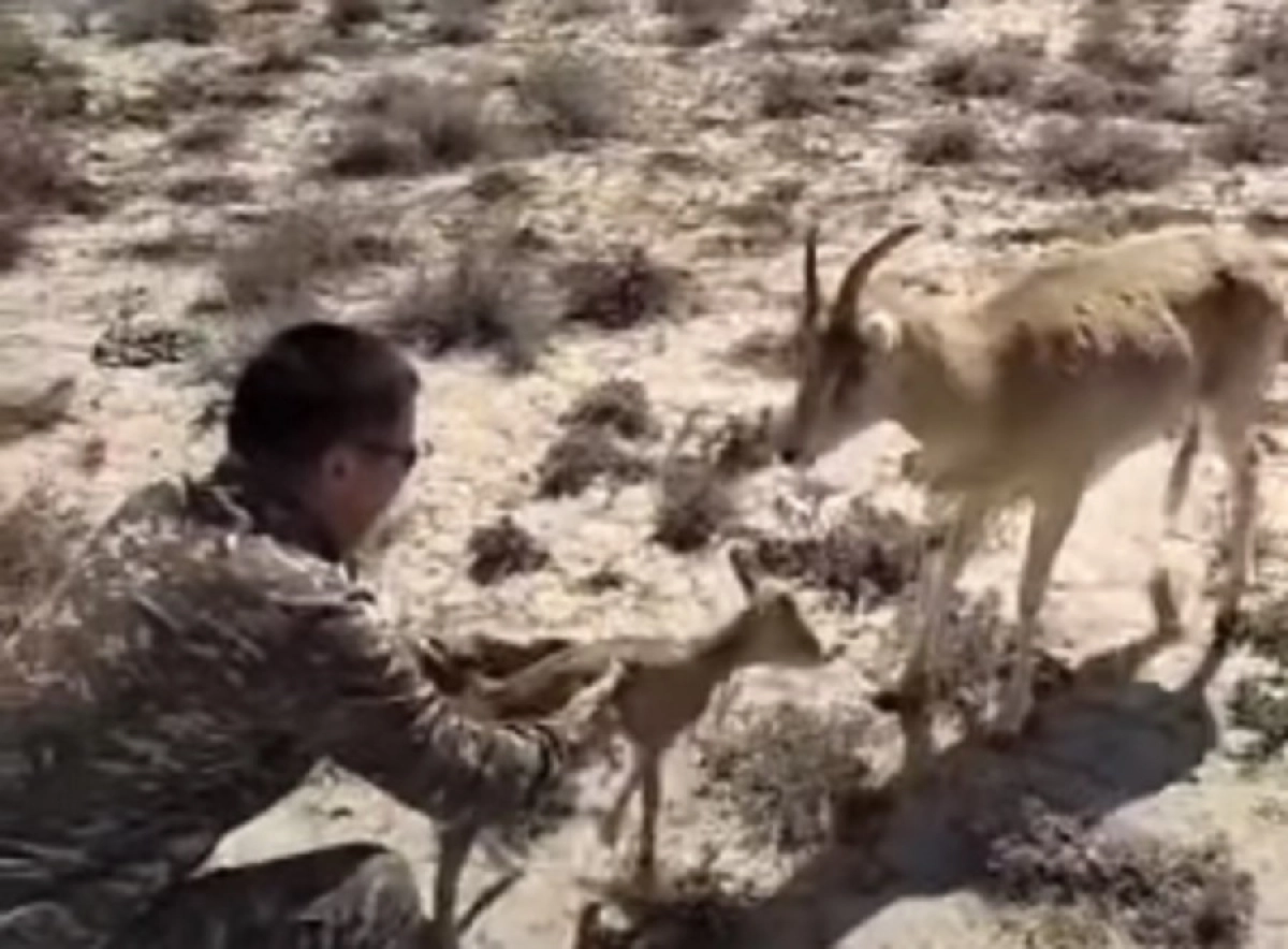 Кадр из видео