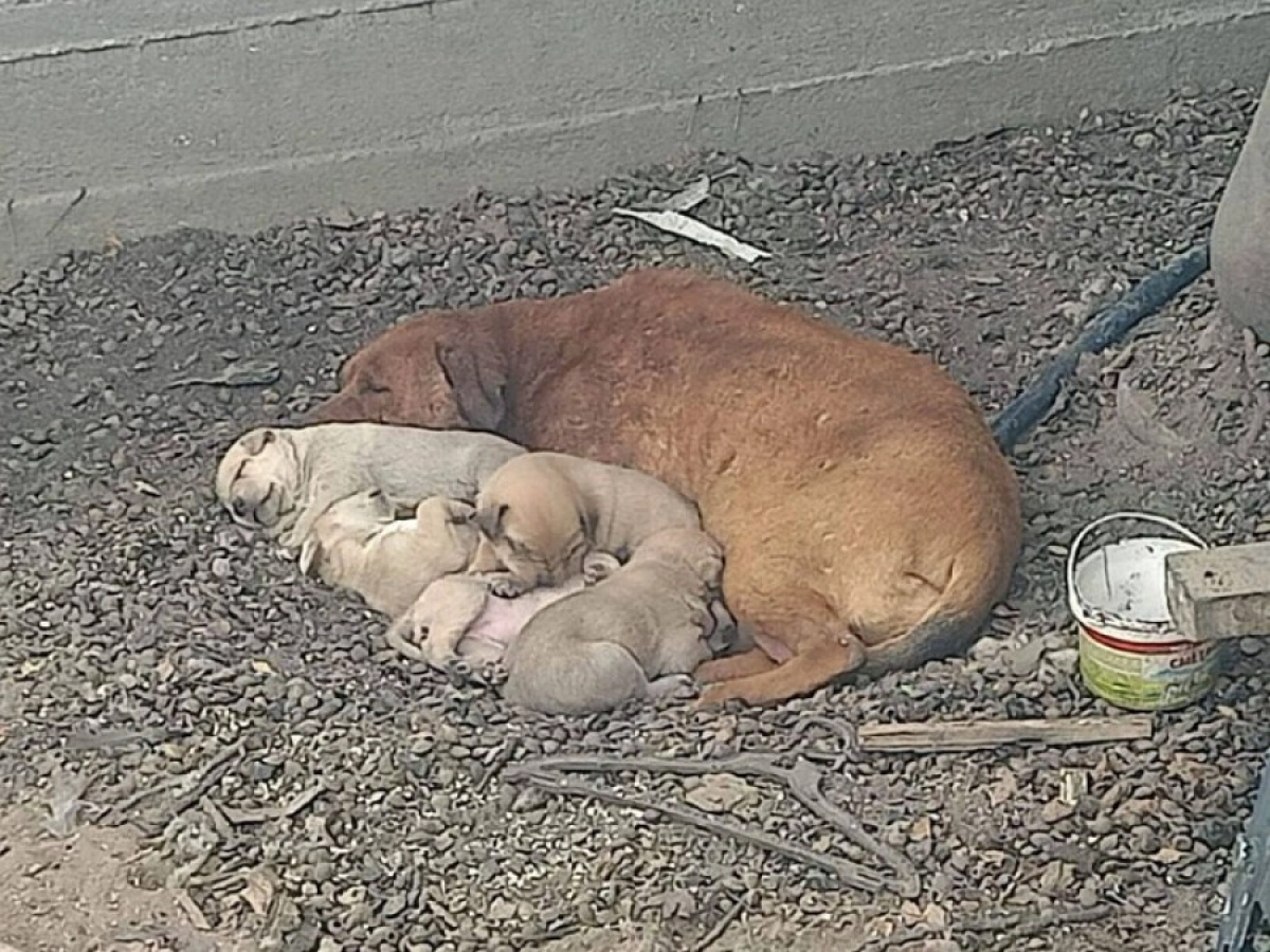 Фото: Polisia.kz