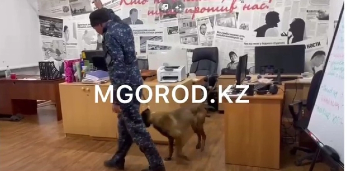 Фото: кадр из видео