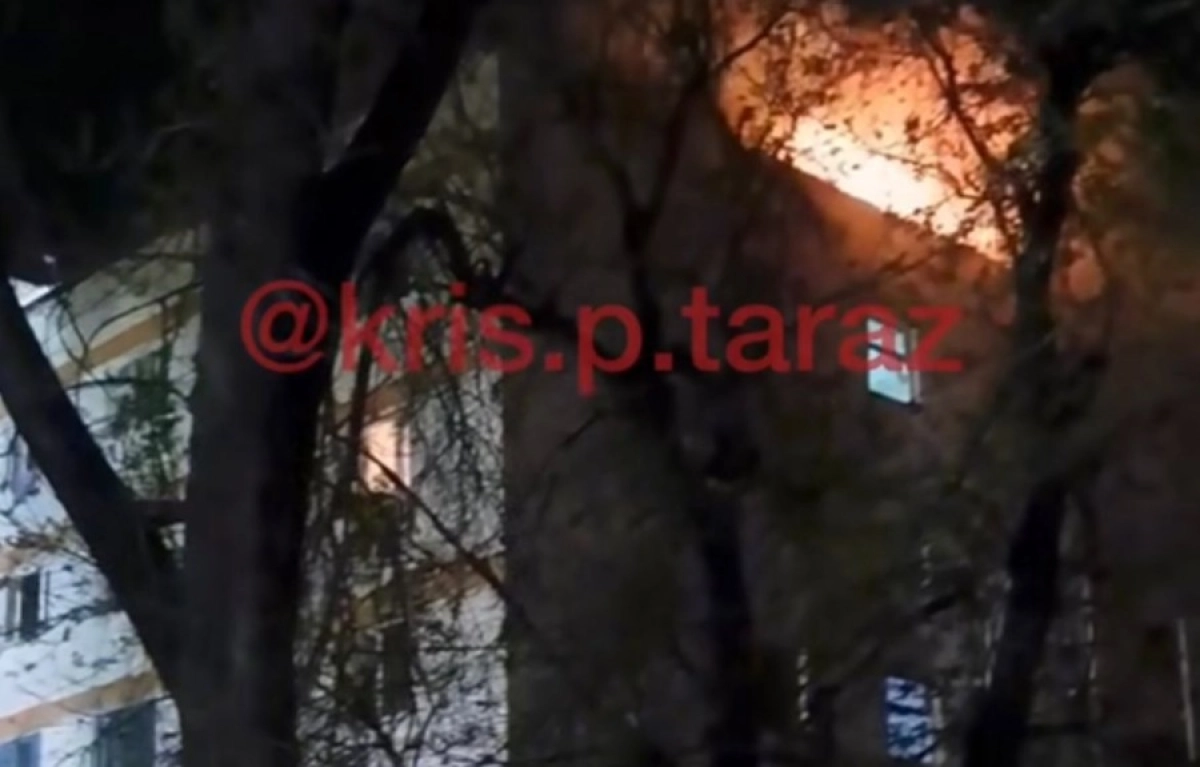 Фото: кадр из видео