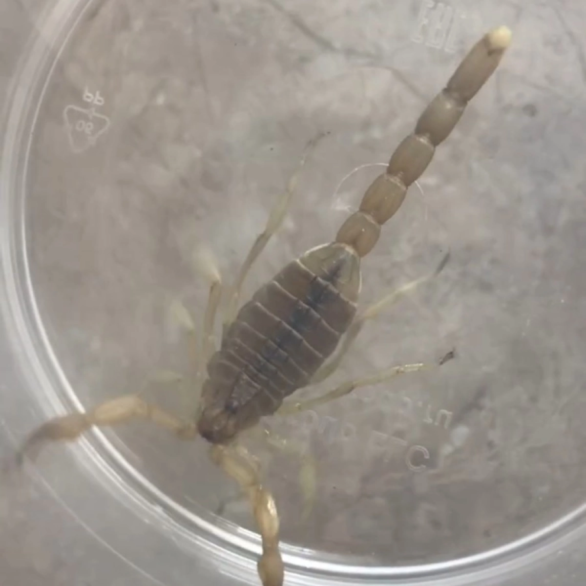 Скриншот с видео