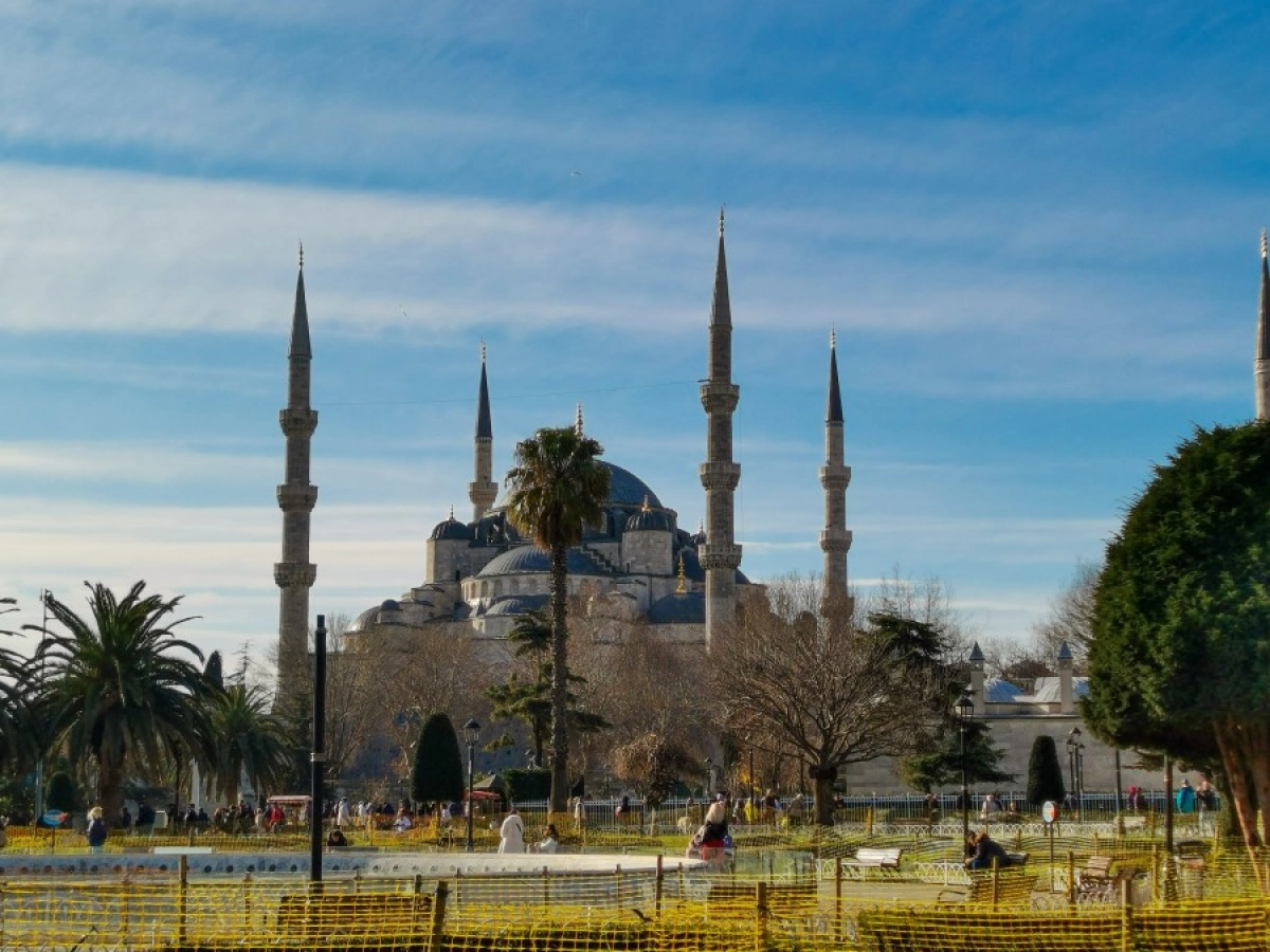 Фото: unsplash.com