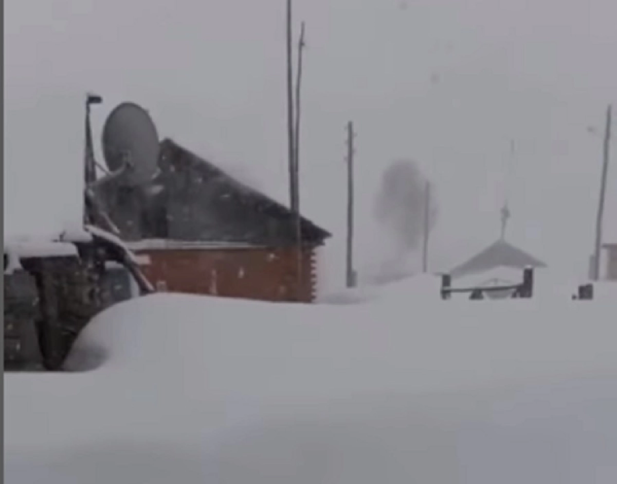 Кадр из видео