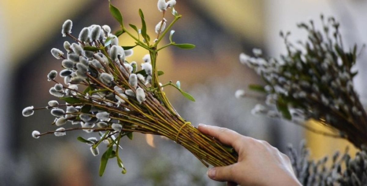 Фото: pixabay.com