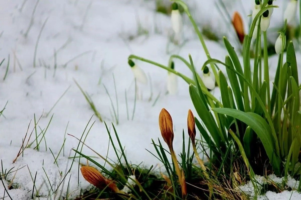 Фото: pixabay.com