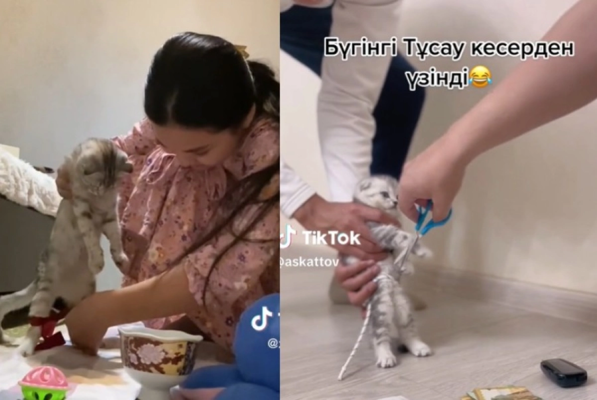 Коллаж: ИА «NewTimes.kz»