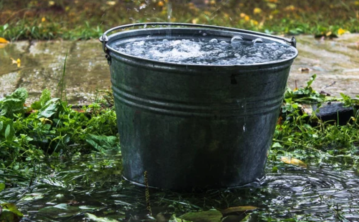 Фото: depositphotos.com