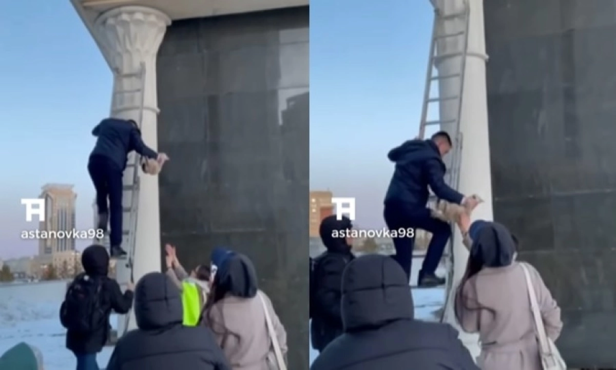 коллаж NewTimes.kz