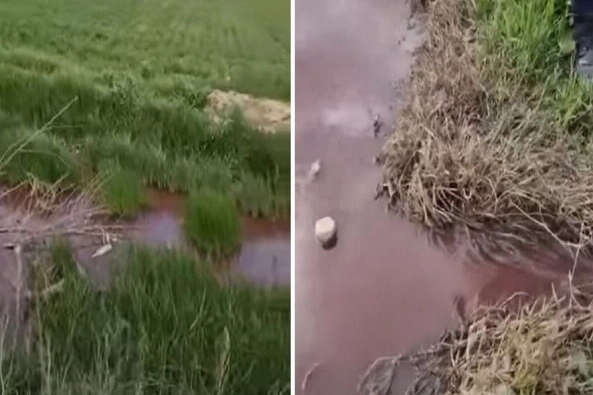 Фото: скриншот видео