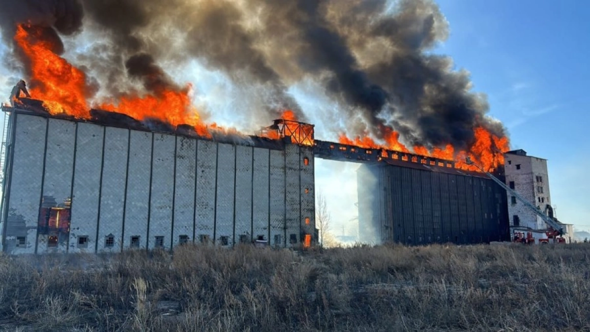 Фото Сергея Миронова/ kstnews.kz