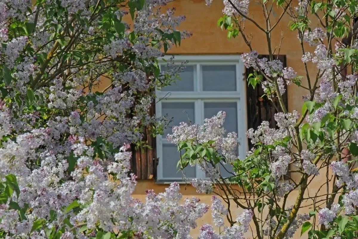 Фото: pixabay.com