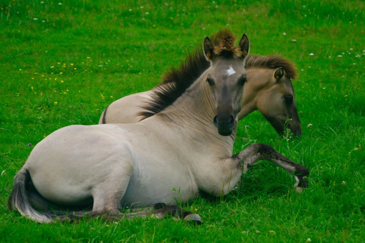 Фото: unsplash.com