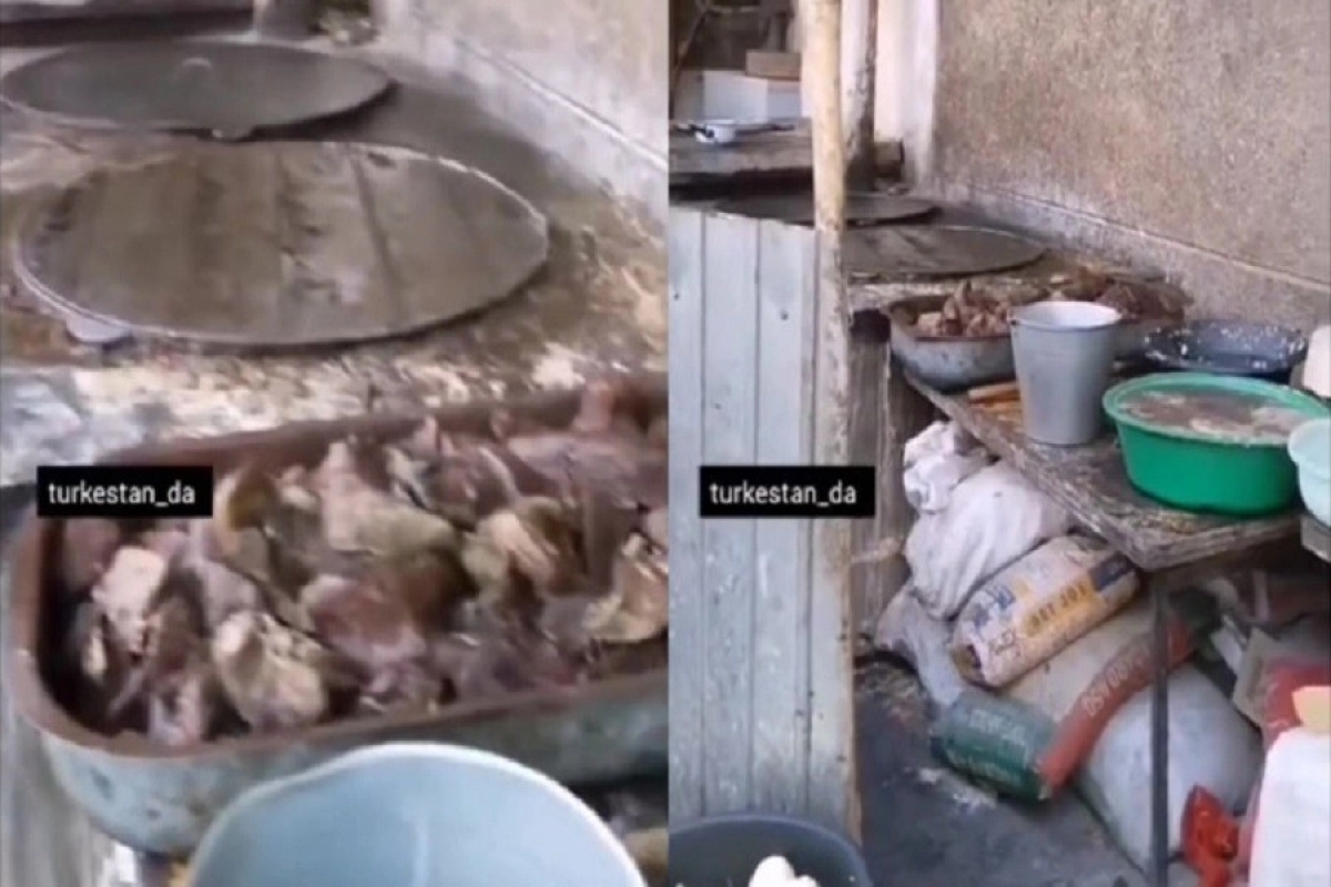 Фото: Кадры из видео