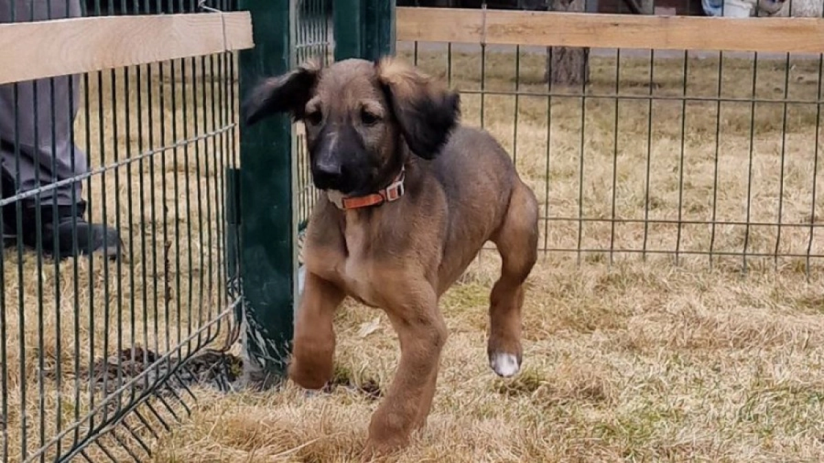 Фото: пресс-служба Акорда