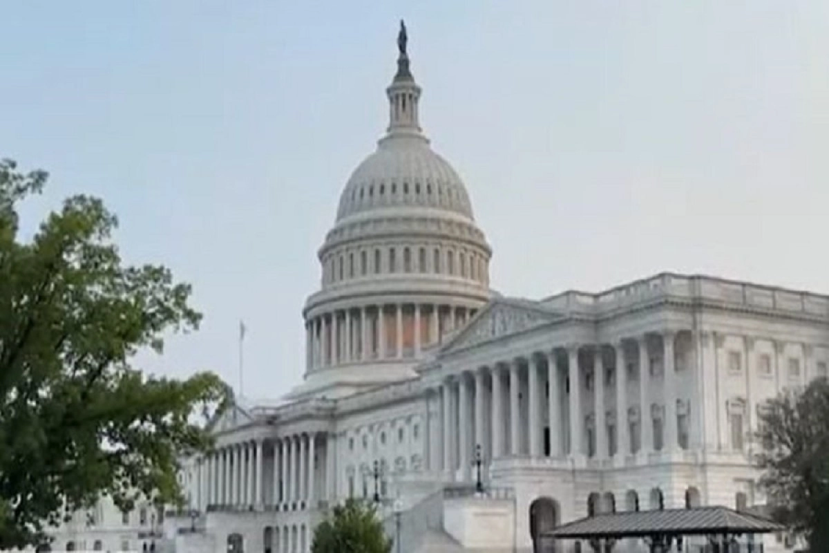 Фото: скриншот видео