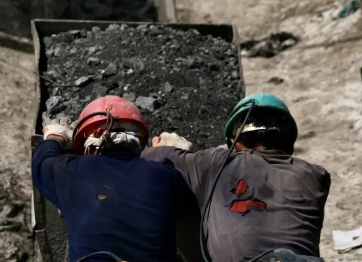 Фото: Peter Burdon/unsplash.com