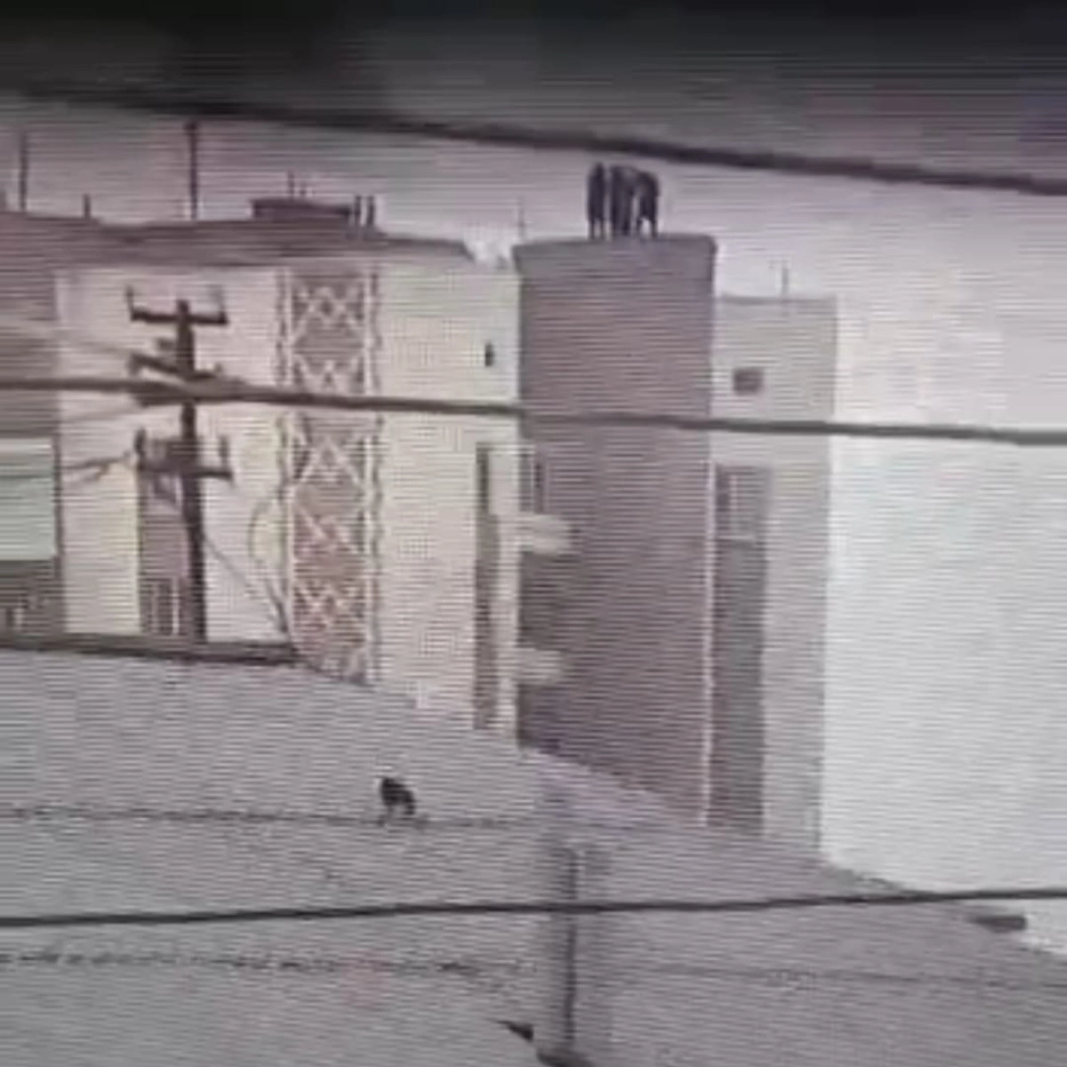 Скриншот с видео