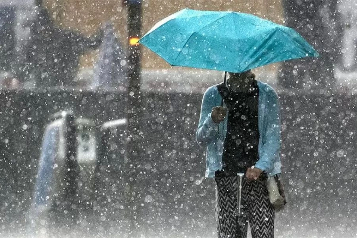 Фото: pixabay.com