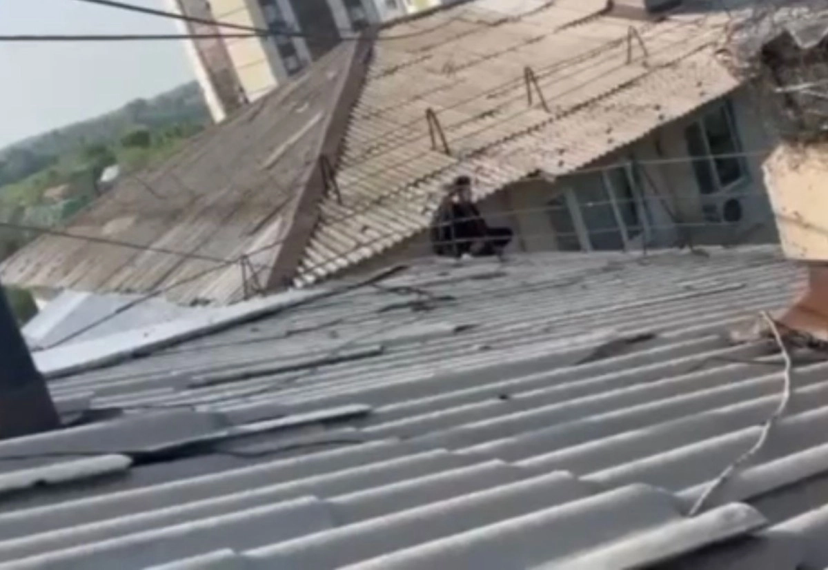 Фото: кадр из видео