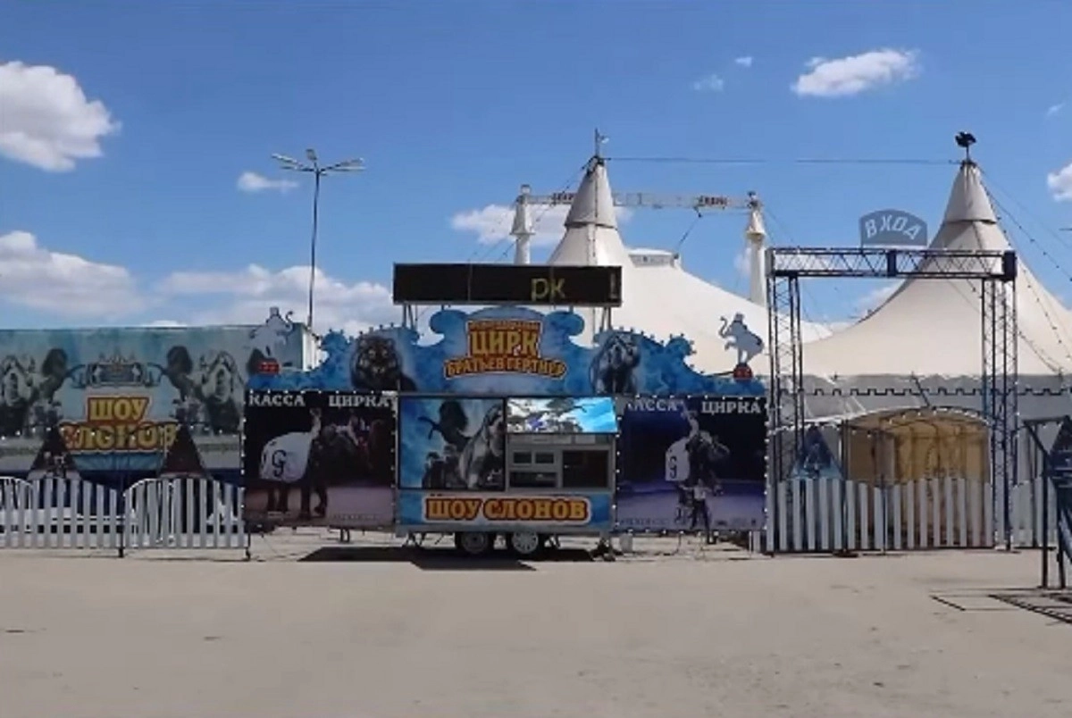 Кадр из видео