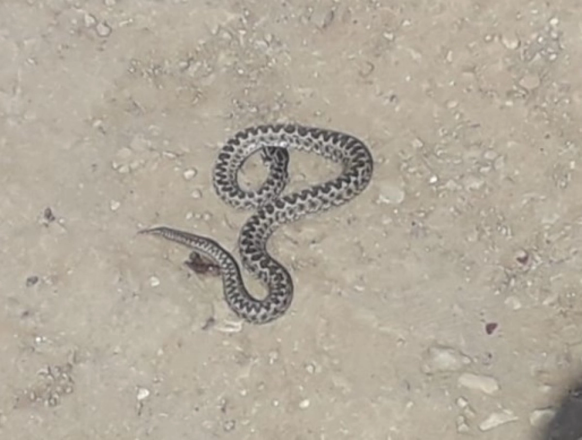 Фото: Диапазон