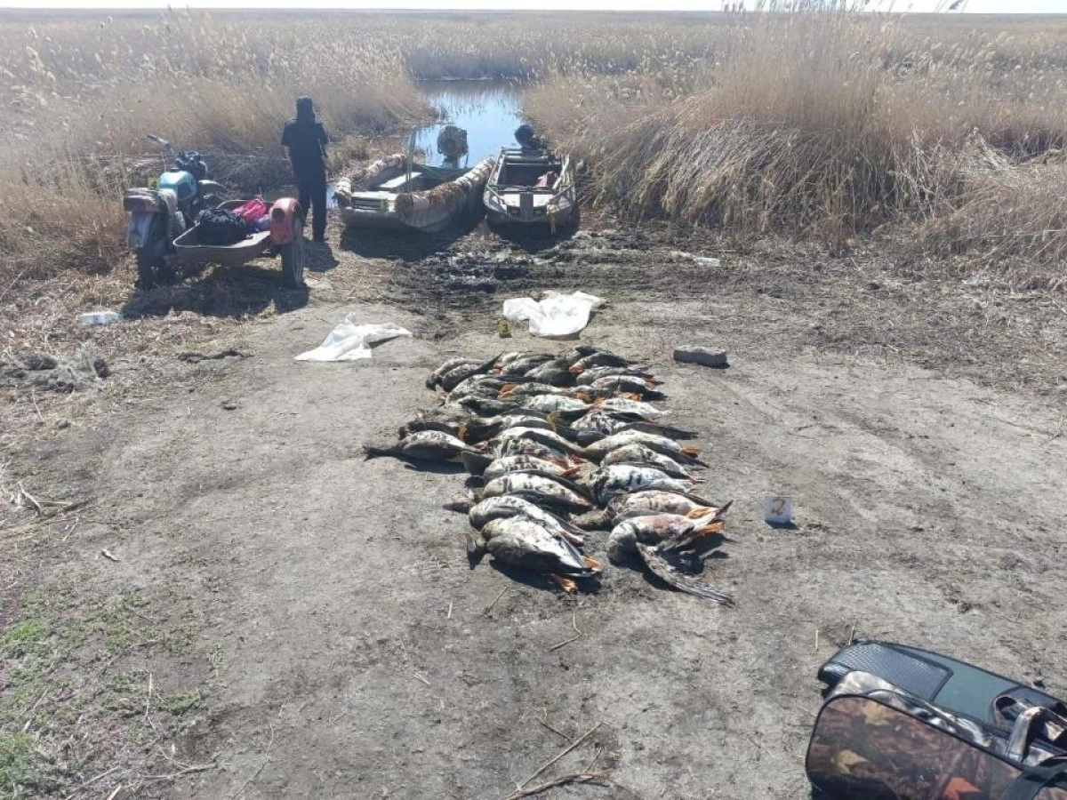 Фото :минэкологии