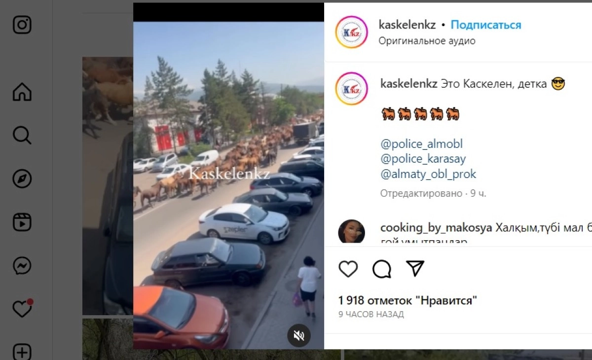 Скриншот с видео